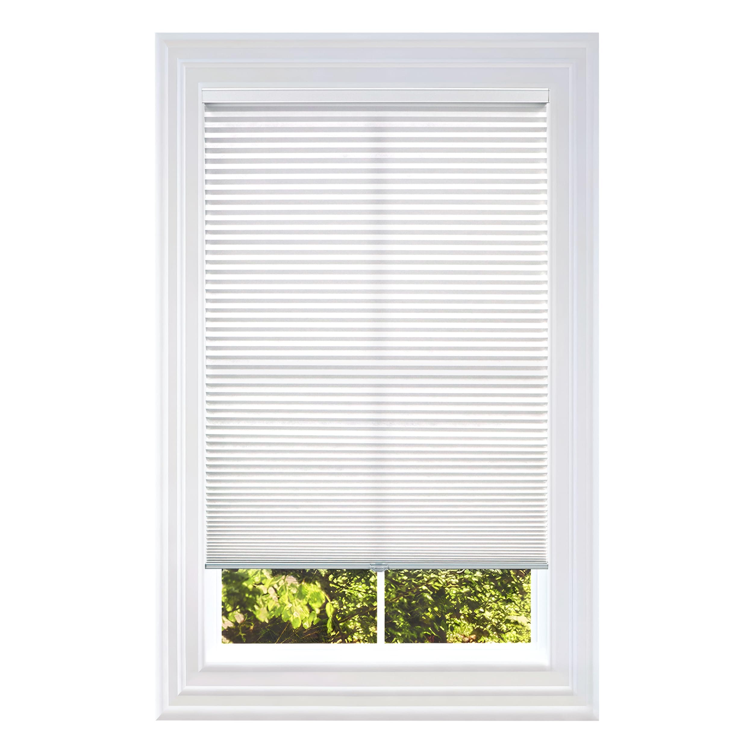 BlindsAvenue Cellular Honeycomb Cordless Shade
